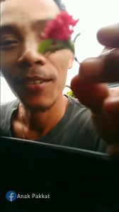 64K views · 2K reactions | Bunga kecil penyemangat pagi dari suami. Orang optimis terpaku kepada keindahan bunganya✅ Orang pesimis terpaku kepada durinya, bukan bunganya ❎ | Anak Pakkat | Facebook