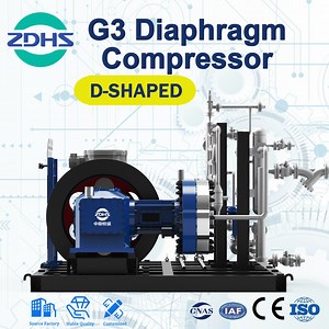 [Hot Item] Hot Sale Variable Frequency Explosion-Proof Volatile Corrosive Gas Energy Saving Compressor Gd3