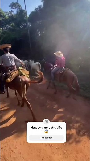 On the road! 😱🤠 #agriculture #cattle #farm #rancher #livestock #shortsviral