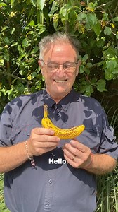 45K views · 1.4K reactions | Why Banana skins are good for your garden #bananaskinfertilizer #gardentipsforbeginners #gardening #plants | Dave The Plantman | Facebook