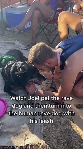 Rave Dog and Human Rave Dog Encounter