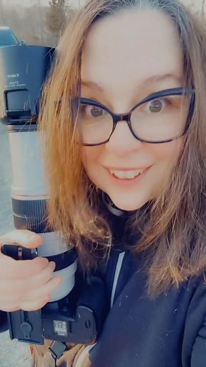 1.2K views · 105 reactions | Check out this northern hawk owl! #hawkowl #wildlifefilmmaker #owls #maytheforestbewithyou | Thee Owl Queen | Facebook