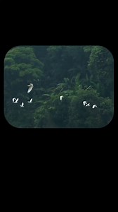 65K views · 5.3K reactions | Surah-Al-Isra Verses (110-111) QuranTranslationUrdu ❤️ . . . . . . . . . . . . #QurantranslationUrdu #QuranTranslation #quraninurdu #Islamicreminder #muslim #islam | Quran Translation | Facebook