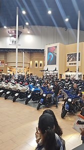 Alligator Alley Harley-Davidson on Reels