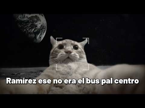 Chisplop Cumpilation V73