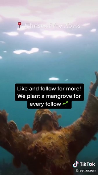 Exploring the Best Dive Spots in Florida Keys with Christ of the Abyss Statue