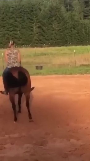 4.3K views · 40 reactions | The speed of horses up close! www.justhorseriders.co.uk #equestrian #horsegirl #justhorseriders #horseriding #horselife #horselover #equestrianlife | Just Horse Riders | Facebook