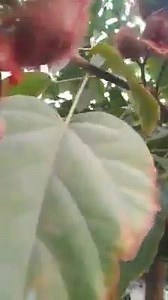 1.4K views | VEDIC Science on Reels | Facebook