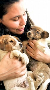 My two guddus #puppy #puppies #puppylove #puppylovers #puppylife #dogmother #dogmom #dog #dogs #dogfood #doglife #doglover #doglovers #streetdogs #streetdogsofindia #supportus #blessings #love #reels #viral #instareels #insta #instagram #fbyシvideo #fbreelsfypシ゚viralfbreelsfypシ゚viral #fb | Bezubaanjaan1517