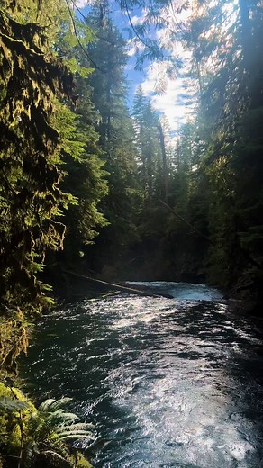 Oregon & Pacific Northwest Adventures