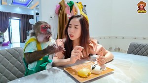 Yoyo helping mom to whip up a healthy breakfast #monkey #MonkeyYoyo | Monkey YoYo Jr