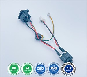 [Hot Item] Power Socket and Switch Wire Harness AC Inlet Socket Wire Harness IEC Socket Wire Harness