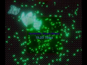 button simulator: ed symbiotic geode location