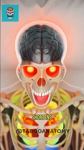 What ACTUALLY Happens During an Orgasm (Full Anatomy) 💀 #shorts