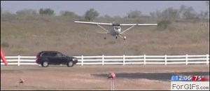 Oblivious driver | 4GIFs.com