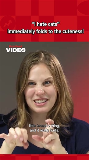 14K views · 89 reactions | Their Reactions Are Priceless! | BuzzFeed Animals | Facebook