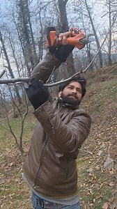 Prunnig and trannig fb.lifestayl jitni parfect prunnig krogey utna acha result milye ga #shearvideo #kullumanali #royalapple #PruningTips #highlight #highlightseveryonefollowers @highlight # | A K Thakur