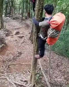 Bah yang selalu hiking atu...berlajar2 tah naik atas pokok,manalah tau terjumpa binatang ani. | Paranormal Hunter Brunei
