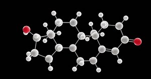 Testosteronmolekül, rotierendes 3D-Modell von Sex-Hormonen, gedecktes: Stockvideos & Filmmaterial (100 % lizenzfrei) 1107809507 | Shutterstock