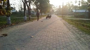 334K views · 1.2K shares | Lock down হোৱাৰ পিছত হস্পিতাল চাৰিআলিত গৰু পিটনৰ দৃশ্য | Sadiya- The Land of Rising Sun of Assam | Facebook