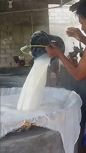 Cara Bikin Tahu, Dari awal Giling Kedelai Hingga Jadi Tahu #shorts