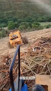 63K views · 795 reactions | Amazing Display of Intelligence! 易✨ | Cartas Para Deus | Facebook