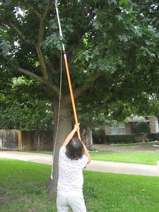 Fiskars Power-Lever Tree Pruner