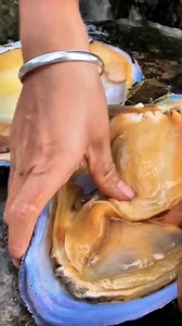 Uncovers a Pearl After Opening a Bizarre Shell #Pearl #river #life #outdoorliving #pearls #fblifestyle | Pearl Hunter