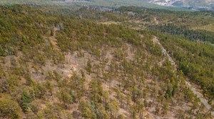 Presented by Jeremiah Aukerman eXp Realty, LLC Phone: 9707692407...