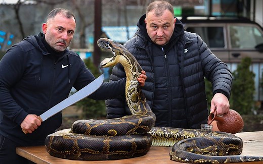 蟒蛇肉，炭火上的蟒蛇烹饪。
