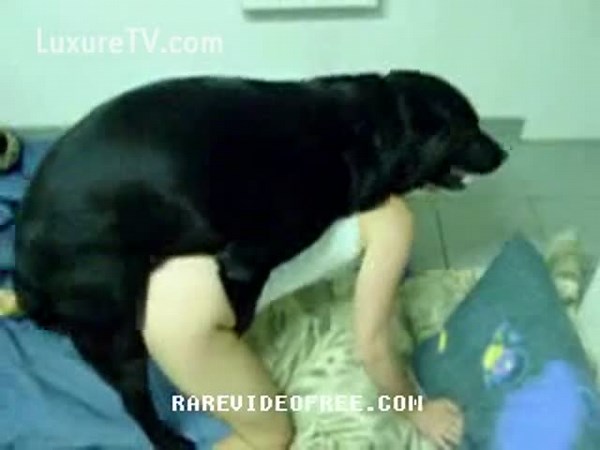 Collection of young girls engaging in hardcore bestiality sex