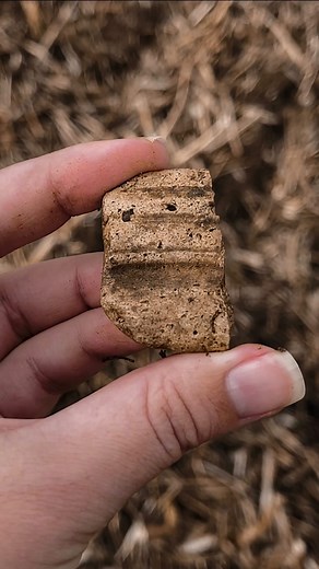Harvest means field walking finds which we look for while we’re out metal detecting! Lucie went and found her favourite type Roman Mortaria, which was used for grinding herbs and spices. #metaldetecting #metaldetectingfinds #treasure #treasurehunting #treasures #treasurehunt #relics #treasurehunter #explore #outdoors #adventure #treasurehuntingfinds #history #historylovers #hobby #hobbies #archaeology #roman #romanpottery #romanempire #ancienthistory #ceramics #pottery #ancientpottery #ancient #