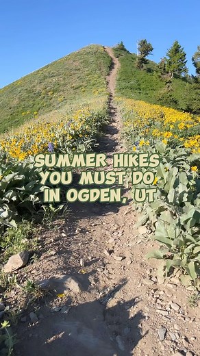 Hiking has become our entire personality in Ogden, UT 🥾⛰️ Which is your favorite hike?! •⁠ •⁠ •⁠ •⁠ •⁠ •⁠ #visitogden #myogden #thisisogden #Wild4Ogden #ogdenutah #ogdenut #utah #visitutah #ogdencity #localfirst #travel #mountain #mountainmagazine #skiutah #ogdenvalley #ogdenarts #ogdenfoodie #ogdentrails #webersustainability #ogdensustainability #mountaintown #springseason #utahsummer #utahspring #utahhiking #summerutah | Visit Ogden