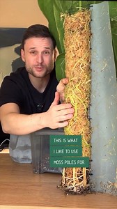 11K views · 97 reactions | Have you ever wondered what the inside of...