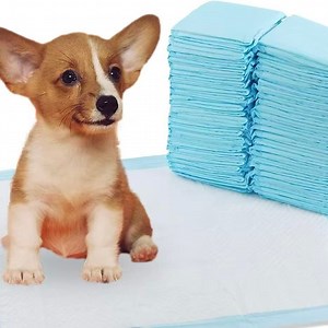 [Hot Item] Pet Pads Sap Super Absorbent Polymer Powder Price