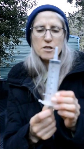 How to Give a Cat with Megacolon an Enema