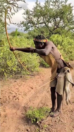 Brave Hunters Save Mother Buffalo from a Pride of Lions | Incredible African Jungle Moment