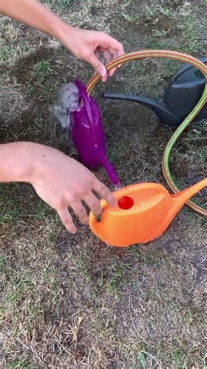 FabianMagic on TikTok