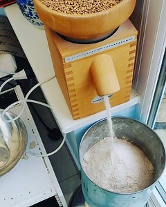 Spelt flour. It strengthens the spleen pancreas; listen dryness , nurtures the yin fluid , it benefits the frail and deficient person. It helps in diarrhea, poor digestion, colitis and various other intestinal disorders. Spelt is richly supplied with nutrients. It's higher in protein , fat and fibre than most of the wheat. It helps in nutritional assimilation by the body because it is dissolved easily. It has thick husk that protects it from pollution and insects. Any bone disorder, chronic infe