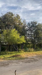 6.4K views · 96 reactions | El Viejo Oeste los espera ! 鸞 Domingos...