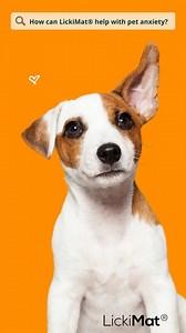 Let LickiMat® Spark Happiness in Your Pet! 🐾✨ Did you know that when your pet licks, it helps them feel relaxed? 🐶🐱 The slow feeding process and the act of licking can have a calming effect on pets, releasing soothing endorphins in their brains. 🌈 Give your furry friend the gift of relaxation today. Visit lickimat.com for a wide selection of LickiMat® products! #LickiMat #Petenrichment #Ditchthebowl #Healthyhabits #Stressrelief | Innovative Pet Products