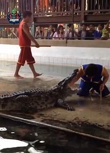 14K views · 101 reactions | Wild Wonders And Wobbles | Lost Souls Radio | Facebook