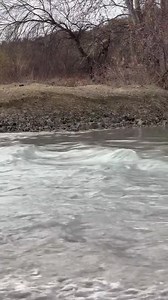 Saudi Drifting on Reels