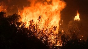 Fire danger increases across Bay Area this week as drier, windier conditions intensify