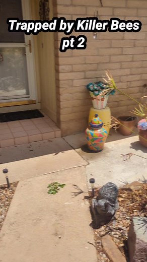 20K views · 273 reactions | Killer Bee Guy on Reels | Facebook