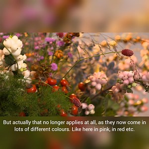 11 reactions | A lovely autumn bouquet with the lovely Symphoricarpos, Rosehip, Hypericum, Crocosmia, Symphoricarpos and of course the lovely foliage products from our Summerflowers nurseries. | Summerflowers | Facebook