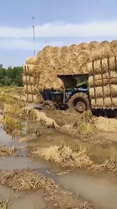 5.3K views · 23 reactions | The way lazy people work  | Hot Ideas | Facebook