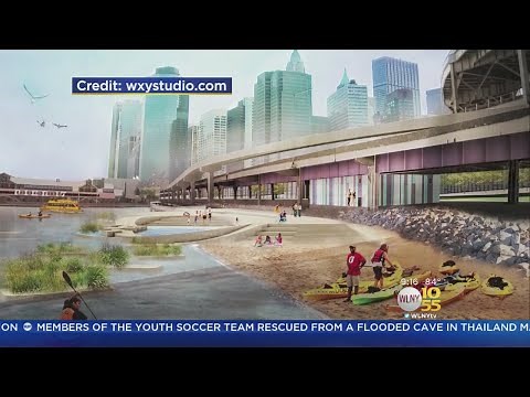 Beach Underneath Brooklyn Bridge Opens