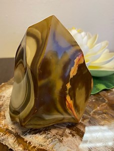 Polychrome Jasper Spécimen minéral poli POLJ11 - Etsy France