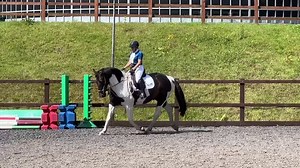 Thank you so much to my local riding club for letting me ride non-competitively, in a bitless, western hackamore. Gatsby has spent the last year building his confidence after a bit of an anxious melt down. This was his first time out at a dressage competition after a year of building his confidence. Removing the bit from his mouth was part of restoring the trust between us both. This is a little bit of his working in and the second test - Prelim 13 - not perfect as he found it tricky going into 